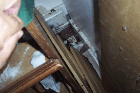 Clutter & Mess leads to Bed Bug & Roach Infestation